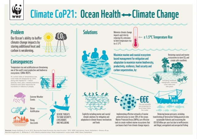 Ocean Health - Climate Change Graphic